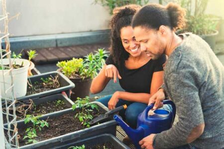 Cram More Into Your City Vegetable Garden! Image